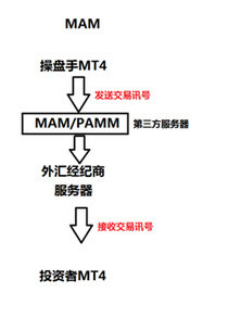 什么是外汇托管，外汇跟单系统详解