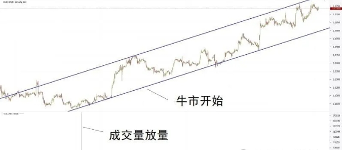 跟单社区科普:外汇市场周末交易吗？外汇周