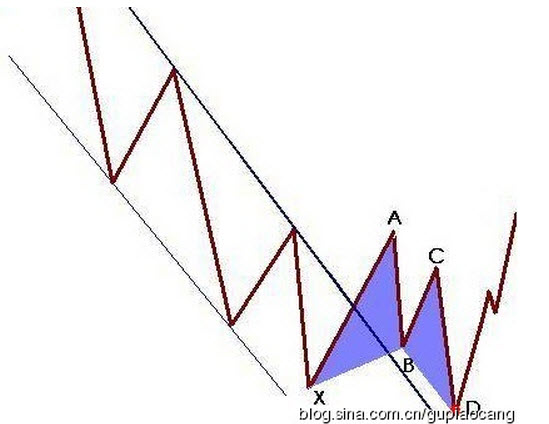 蝴蝶形态-形态所处的位置更重要