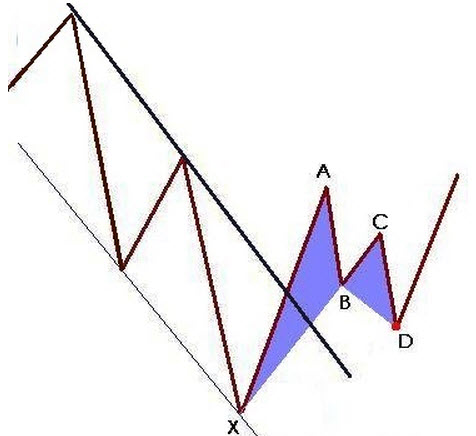 蝴蝶形态-形态所处的位置更重要