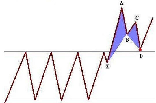 蝴蝶形态-形态所处的位置更重要