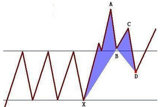 蝴蝶形态-形态所处的位置更重要