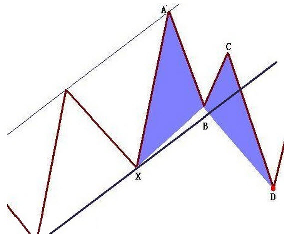 蝴蝶形态-形态所处的位置更重要
