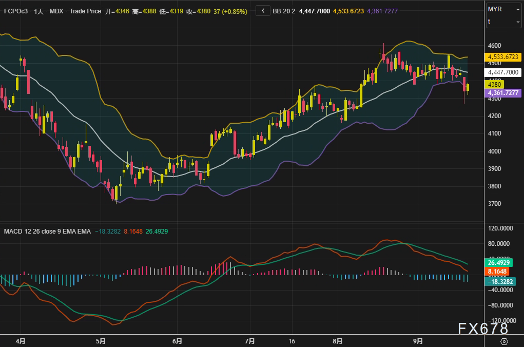 棕榈油市场:出口提振价格,价差收窄限制涨幅(2) 棕榈油市场观察:出口强劲提振价格,豆棕价差收窄限制涨幅