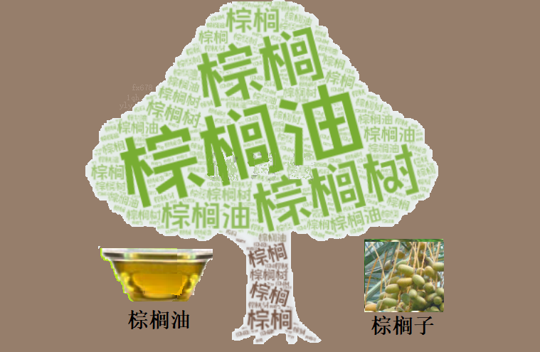 棕榈油空头回补行情反弹 4500点关口成为焦点(1) 棕榈油空头回补引爆反弹,4500点决战就在眼前